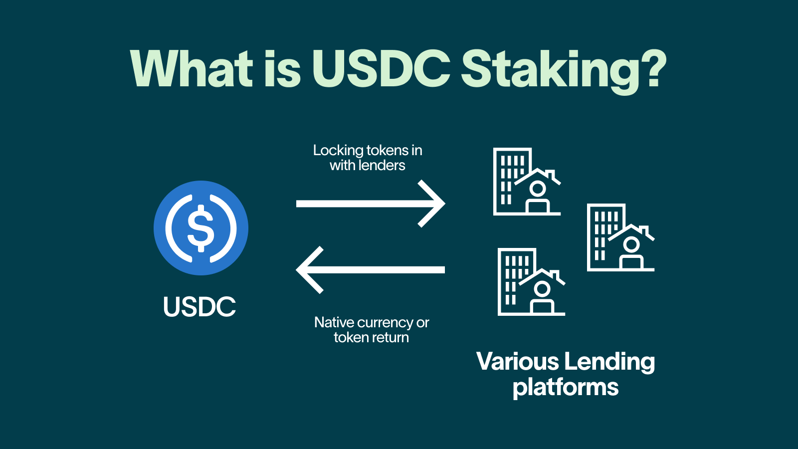 How to Earn Interest on USDC (1)