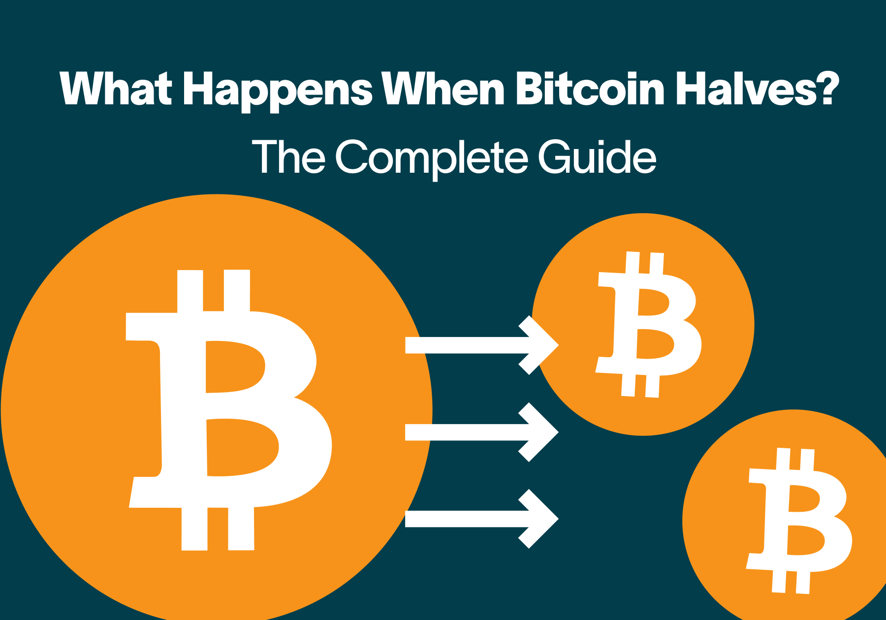 What Happens When Bitcoin Halves_ The Complete Guide